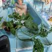Wellness und Gesundheit